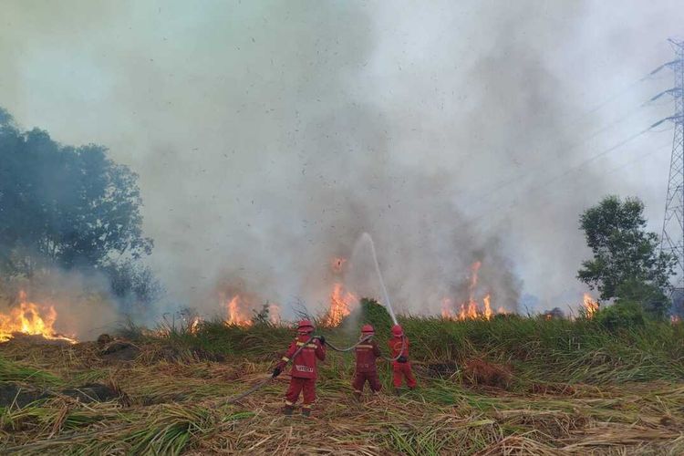 Karhutla di Muba Sumsel Capai 115 Hektare, Tim Terkendala Sumber Air