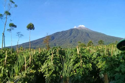 Rentan Sebaran Covid-19 dari Pendaki, Warga dan Pedagang di Gunung Slamet Divaksin