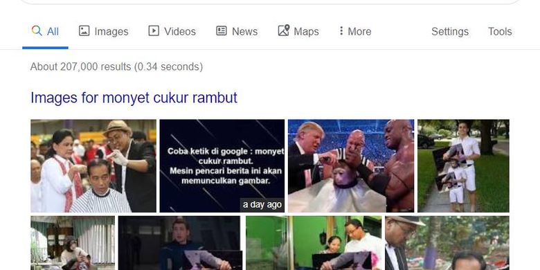 Featured image of post Monyet Cukur Rambut Monyet Pake Jas Hujan Warna Hijau Tak hanya jokowi foto meme presiden amerika serikat donald trump juga keluar ketika memasukkan kata kunci yang sama di kolom pencarian