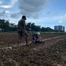Petani di Rorotan Keluhkan Hasil Panen Anjlok Saat Musim Hujan