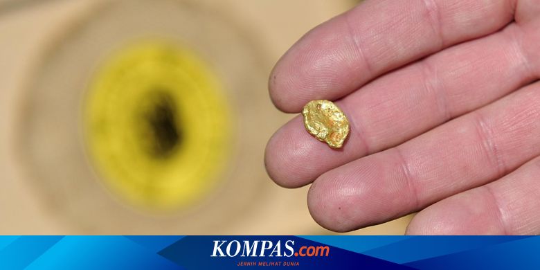 Ini Rahasia Bakteri Mampu Ciptakan Emas Halaman All Kompas Com