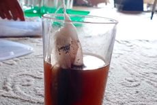 Mahasiswa KKN UNY Buat Kopi Herbal Bebas Kafein dari Biji Pepaya