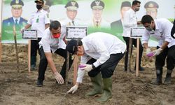 Antisipasi Kenaikan Harga Pangan, Sejumlah Daerah Gelar Penanaman Serentak