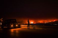 Korban Tewas Kebakaran Hutan di Portugal Jadi 57 Orang
