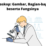 Mikroskop: Gambar, Bagian-bagian, beserta Fungsinya
