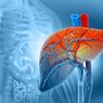 Mengenal Apa Itu Hepatitis, Jenis, Penyebab, dan Gejalanya