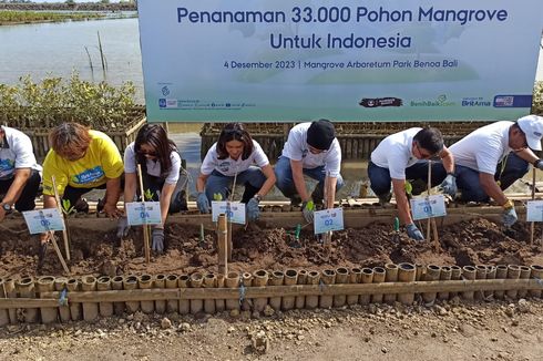 Sampah Plastik Jadi Ancaman Ekosistem Mangrove di Tahura Ngurah Rai Bali