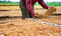 Gates Foundation Gelontorkan 1,4 Miliar Dollar AS untuk Bantu Petani Adaptasi Iklim