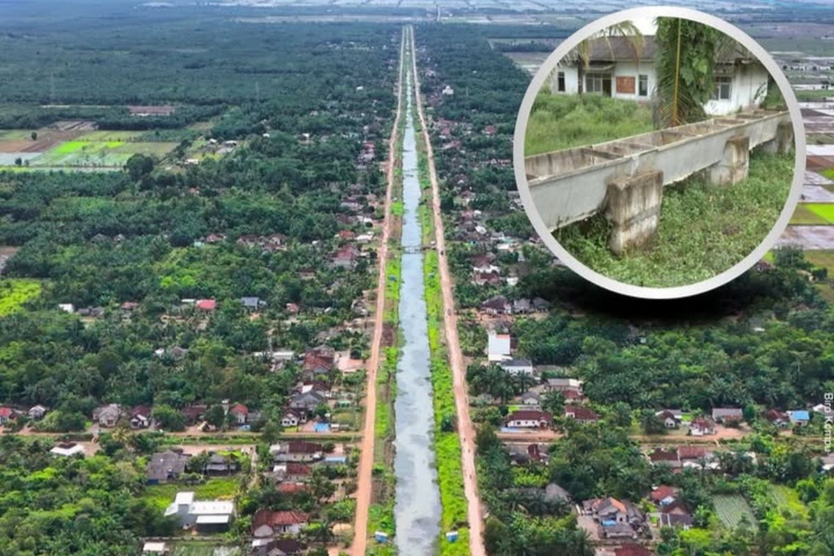 Saluran irigasi gantung Daerah Irigasi Rawa (DIR) Rawa Jitu di Kabupaten Tulang Bawang dan Kabupaten Mesuji, Provinsi Lampung, merupakan saluran irigasi gantung terpanjang di Indonesia dengan 93 kilometer.