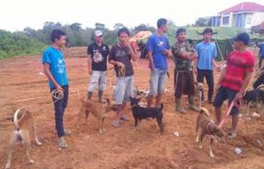 Bocah 10 Tahun Ini Punya Hobi Berburu Babi Hutan