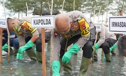 Sejuta Pohon Akan Ditanam di Lahan Kritis Wilayah Bangka Belitung