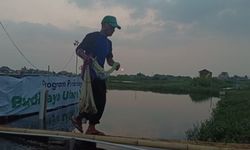 Dompet Dhuafa Banten Adakan Program Budi Daya Udang Vaname, Petambak Merasa Terbantu