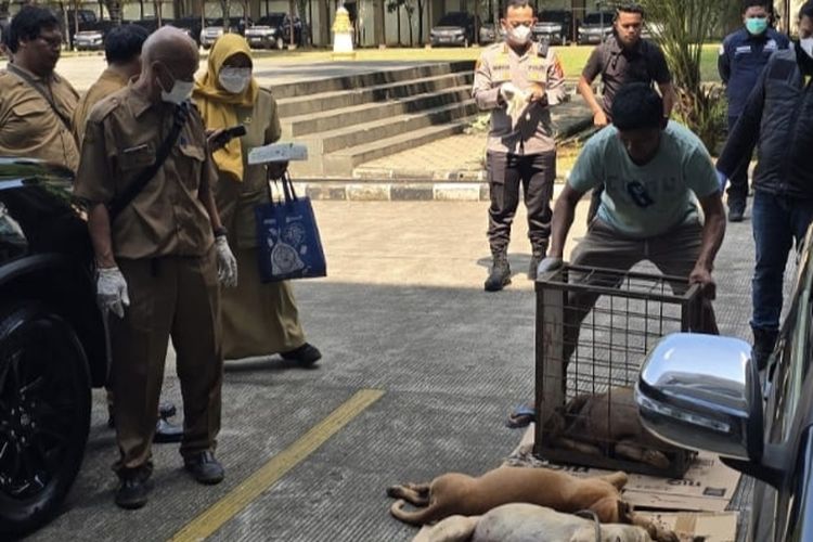 Polisi Tetapkan Pemilik Anjing Pemburu Jadi Tersangka Kematian Bocah 9 Tahun di Jasinga