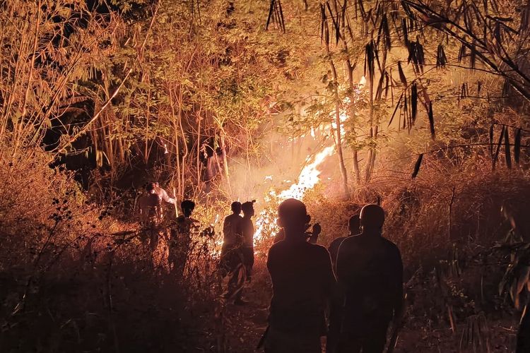 BPBD Jabar Catat 325 Hektare Lahan Terbakar di 8 Kabupaten dan 205 Kecamatan Dilanda Kekeringan