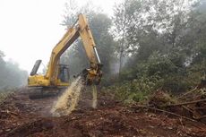 Dampak Kebakaran Lahan Merugikan Industri Kelapa Sawit