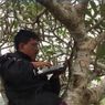 Cerita Guru Sarjana di Bali, Berjuang Meski Terbatas Akses Internet