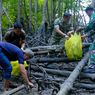 Kodam VI/Mulawarman Bersihkan 312 Kg Sampah di Mangrove Somber