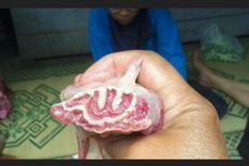 Lafaz Allah pada Potongan Daging Kurban di SMKN 3 Yogyakarta
