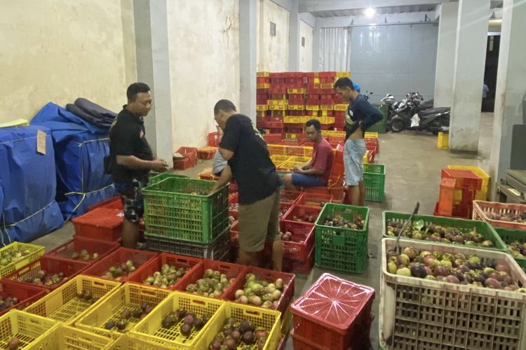 Panen Manggis di Purwakarta Anjlok Dua Tahun Berturut-turut, Petani Rugi hingga Nilai Kebun Terpuruk