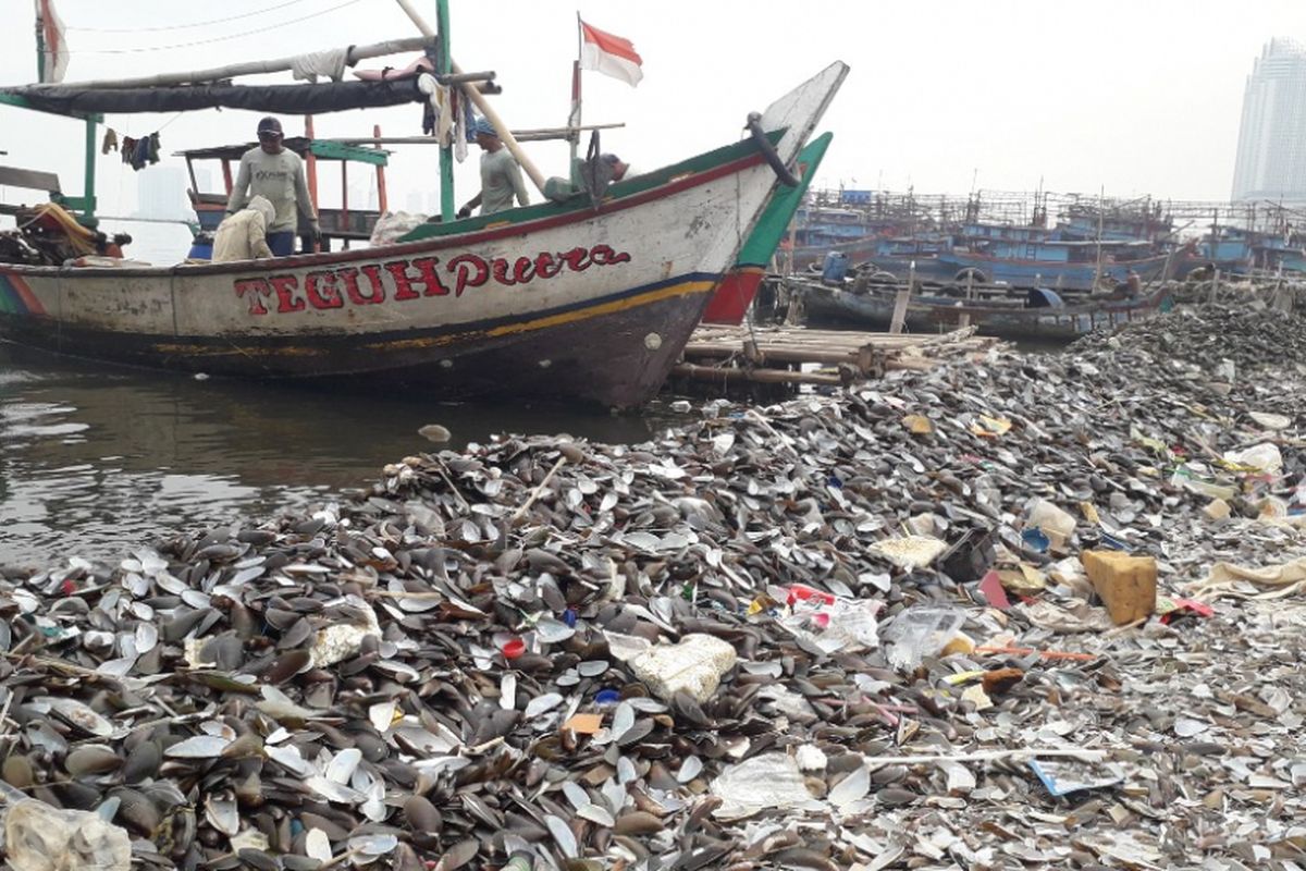 Kotoran kulit kerang hijau di Kampung Kerang Ijo, Muara Angke, Jakarta Utara, Jumat (30/11/2018).