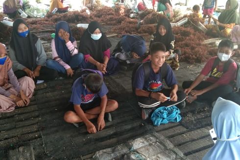 Sejumlah Murid di Nunukan Tak Ikut Ujian Sekolah akibat Fokus Kerja Ikat Benih Rumput Laut, Ini Respons Kadisdik