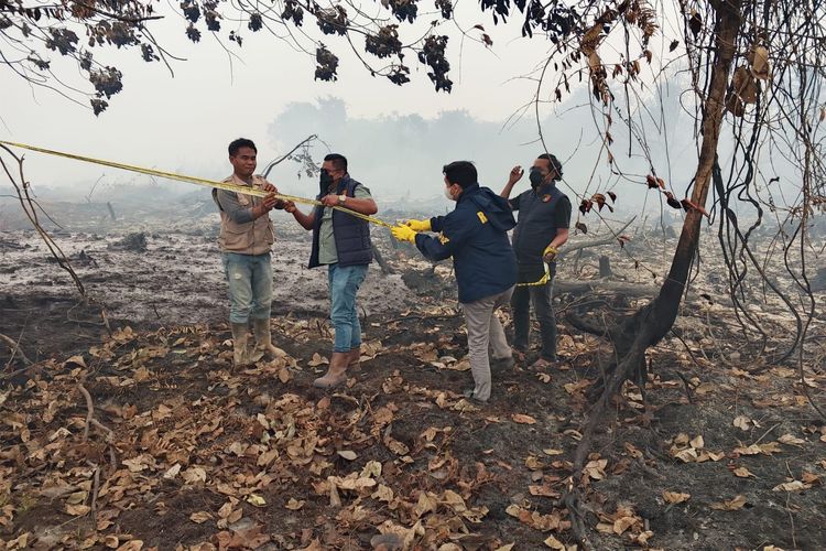 Polisi Usut Kebakaran Lahan HGU di Kubu Raya, Kumpulkan Keterangan Saksi hingga Perusahaan
