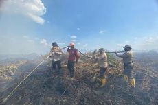 Polisi Klaim Lahan Gambut di Rokan Hulu Riau Dipadamkan Setelah 4 Hari Terbakar