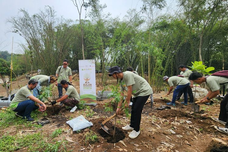 Sinarmas Land berkomitmen mengurangi dampak krisis iklim dengan menanam 1.270 pohon di tiga lokasi, Kabupaten Bogor, Kabupaten Tangerang, dan Kota Tangerang Selatan