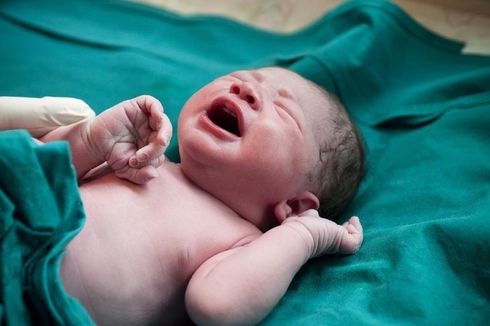 Polusi Udara Rusak Paru-paru dan Imun Bayi yang Baru Lahir