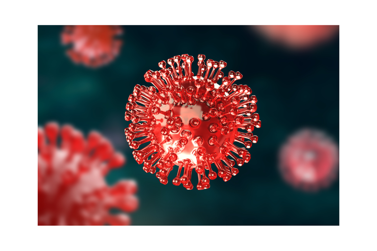 Ilustrasi Covid-19. 15 orang positif COVID-19 di Jakarta Selatan.