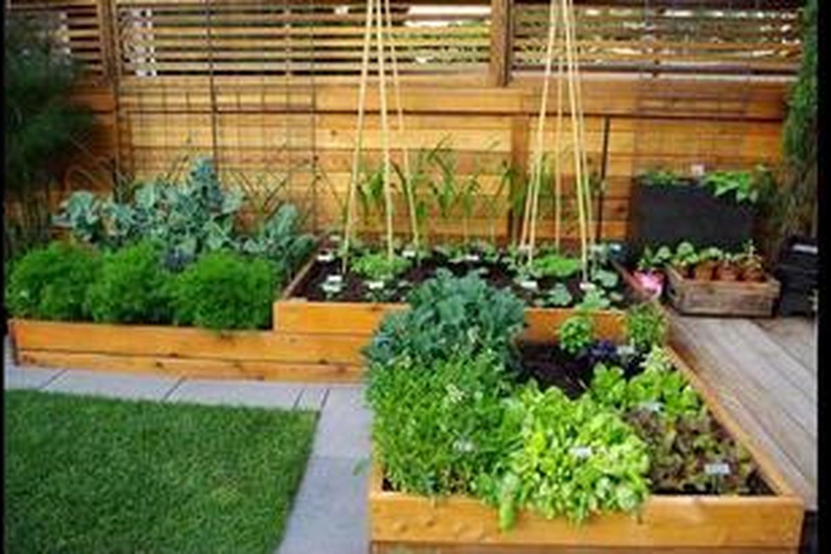 Cobalah mengelompokkan tanaman sesuai tingkat kelembapan yang ia butuhkan. Dengan cara ini, Anda dapat menyiram dengan lebih mudah dan efektif.