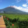 Mendaki Gunung Kerinci Tanpa Izin, WNA Asal Uruguay Kena 
