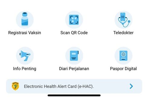 Mulai Besok, Naik Pesawat Wajib Isi E-HAC PeduliLindungi, Ini Caranya