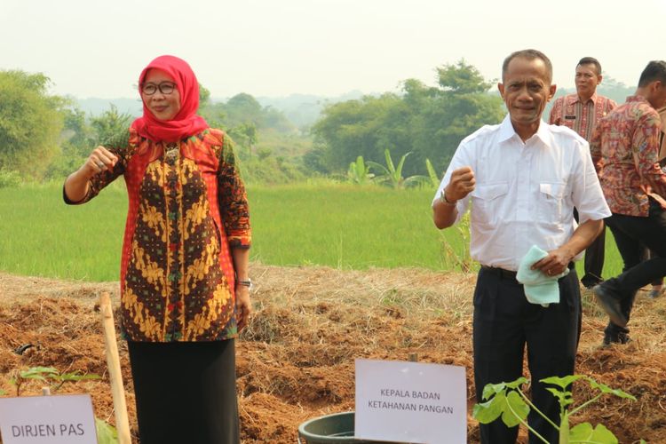 Kementerian Pertanian (Kementan) bekerja sama dengan Kementerian Hukum dan Hak Asasi Manusia (Kemenkumham) bekerja sama untuk optimalisasi pemanfaatan lahan pekarangan di areal lembaga pemasyarakatan (LP), Jumat (28/6/2019)