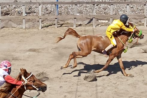 Menguak Sejarah Pacuan Kuda dan Eksistensi Joki Cilik di Tanah Bima