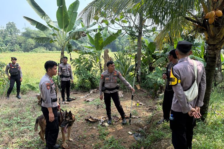 Polisi Kerahkan Tim K9 Buru Anjing Pemburu yang Lepas di Jasinga Bogor
