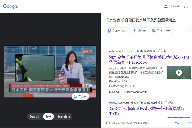 Tangkapan layar pencarian gambar di Google Lens, menampilkan video di akun Facebook televisi swasta Malaysia, Berita RTM.