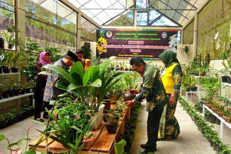 Ilustrasi Arboretum Kalianget, tempat wisata baru di Wonosobo, Jawa Tengah, yang diresmikan pada Kamis (12/1/2023).