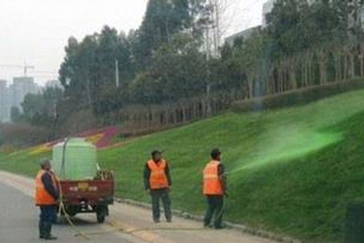 Menurut situs resmi Top Green, warna hijau tersebut "dapat bertahan" selama 10 sepuluh hingga 14 minggu. Pewarna ini juga tidak dapat tersapu oleh air hujan. Dalam situs tersebut juga disebutkan, bahwa warna tersebut juga akan mewarnai tanah.