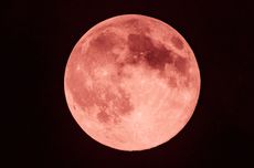 Ada "Strawberry Moon" di Indonesia, Apa Bedanya dengan Purnama Biasa?