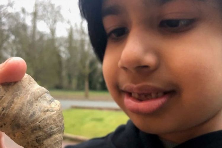 Siddak Singh Jhamat sedang mencari cacing ketika menemukan fosil berusia jutaan tahun.
