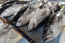 Harga Bahan Pokok Jumat 31 Mei 2024, Harga Ikan Kembung dan Ikan Tongkol Naik