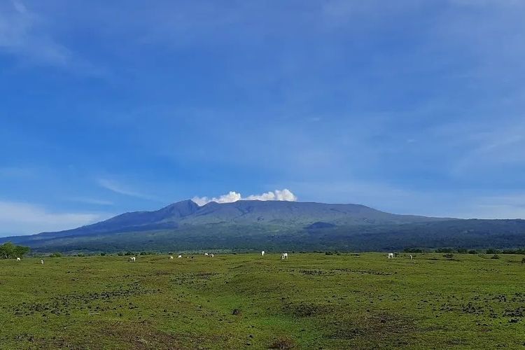 Sabana Ndoro Ncanga di NTB.