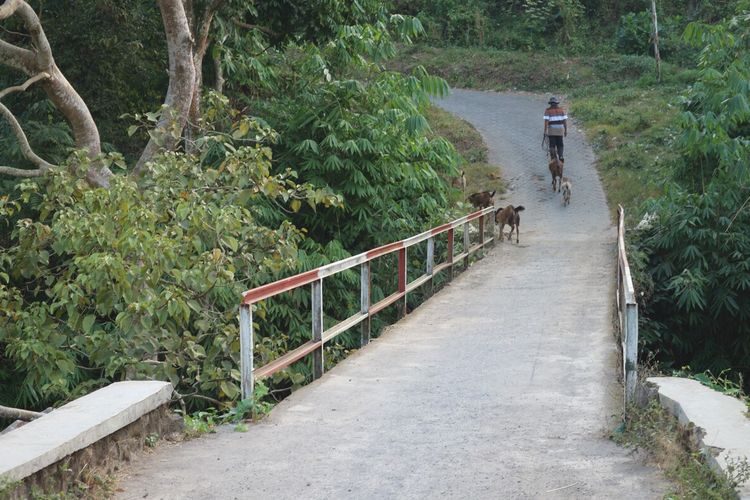 Kondisi jalan dan jembatan menuju Dusun Janjing, Desa Seloliman, Kecamatan Trawas, Kabupaten Mojokerto, Jawa Timur. Sejak tahun 1994, perkampungan penduduk itu memanfaatkan aliran Sungai Maron menjadi energi listrik untuk memenuhi kebutuhan listrik di perkampungan mereka.