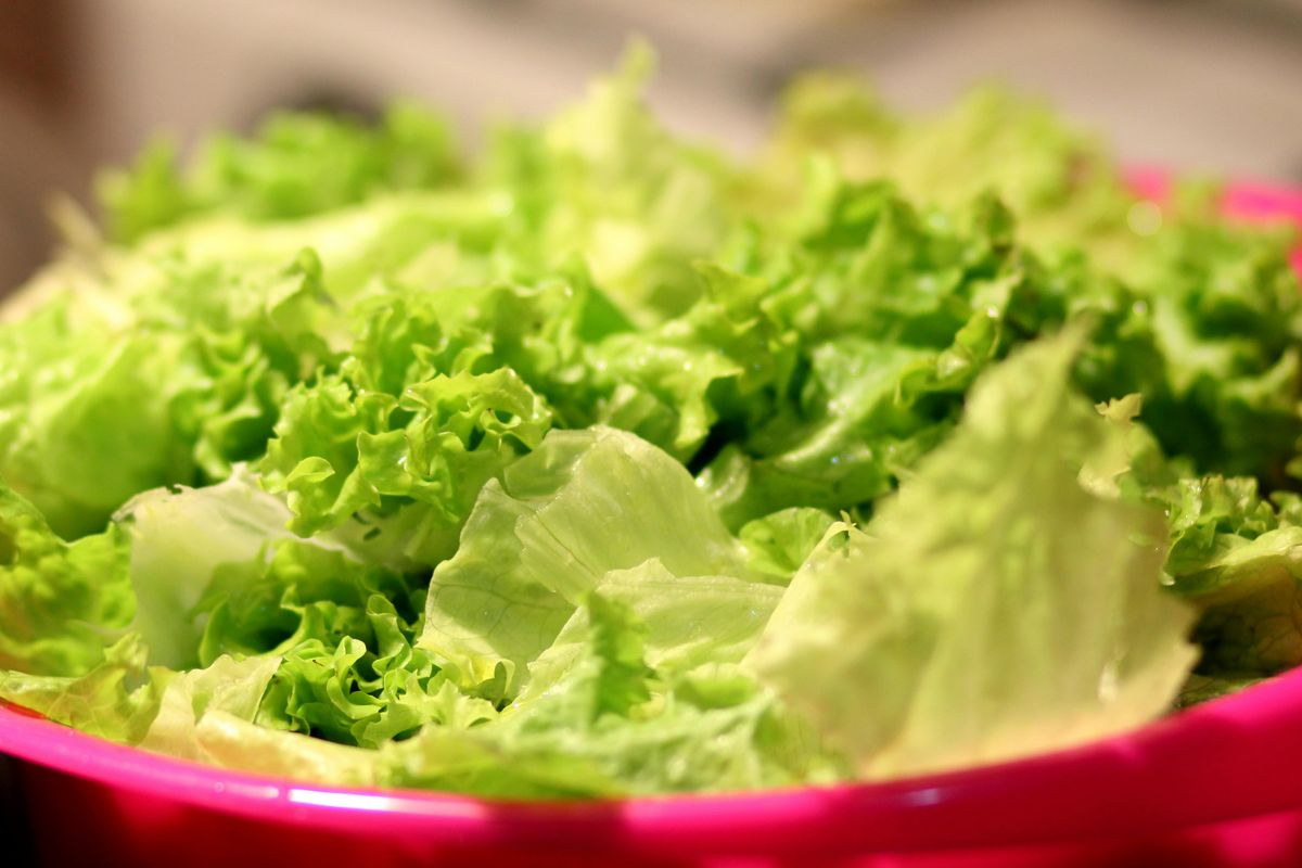 Tanaman selada yang terpapar nanoplastik dan kadmium menyerap hingga 61 persen logam berat beracun ke dalam daunnya.