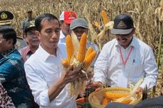 Mentan Siap Laksanakan Instruksi Jokowi Tetapkan HPP Jagung