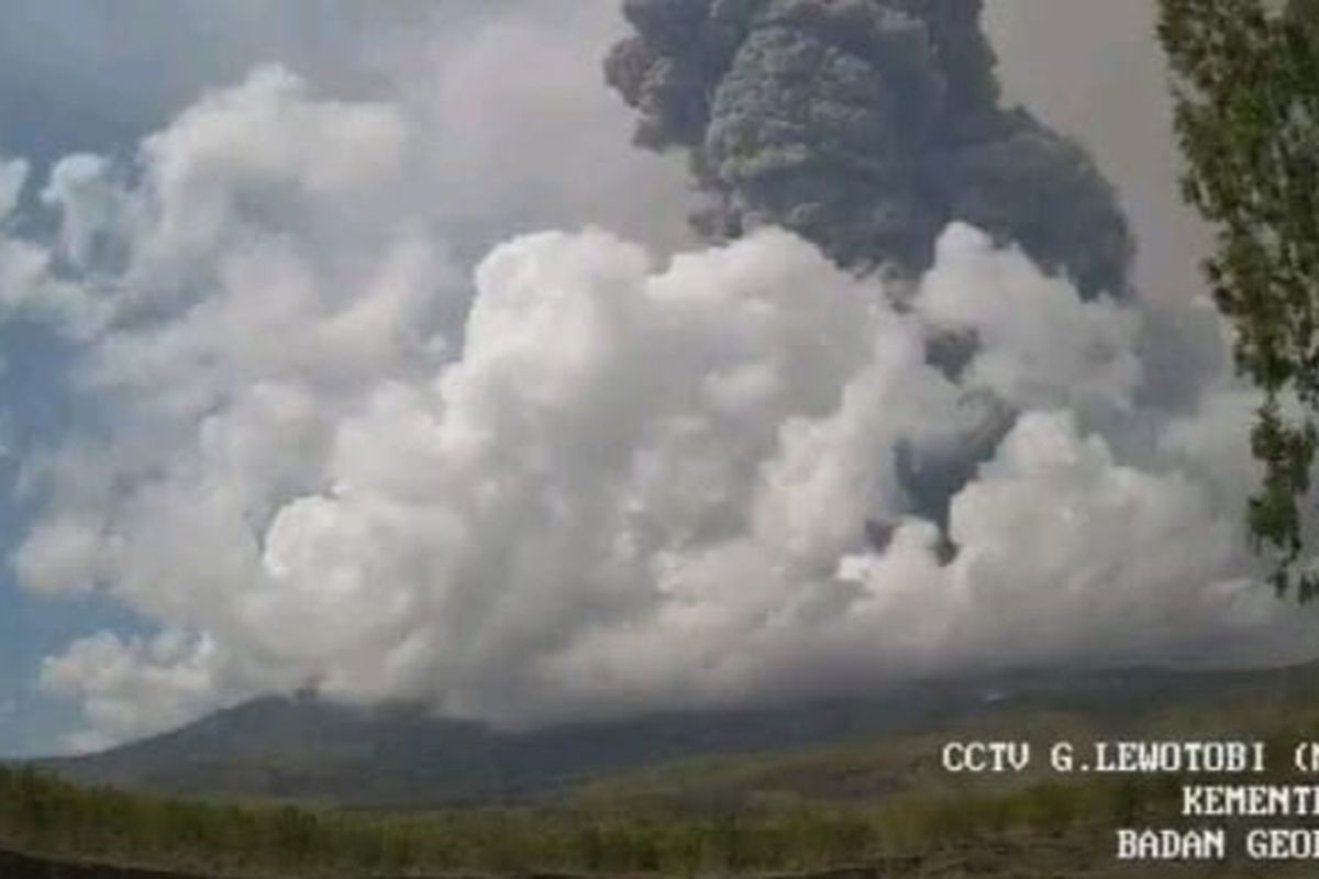 Gunung Lewotobi Laki-laki Alami Erupsi, Sejumlah Desa di Sikka Dilanda Hujan Abu, Warga Butuh Masker