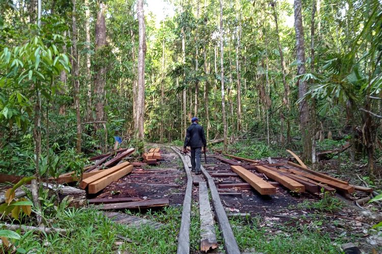 Warga Kampung Oyengsi, Distrik Nimblong, saat patroli melihat kayu yang diduga ditebang secara ilegal di kawasan hutan adat Fwam Bu, Distrik Nimbokrang, Kabupaten Jayapura, Papua.