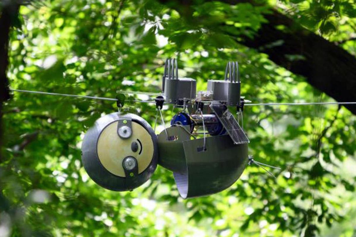 Robot kungkang bernama Slothbot mampu memonitor suhu, cuaca, dan kadar karbon dioksida.


