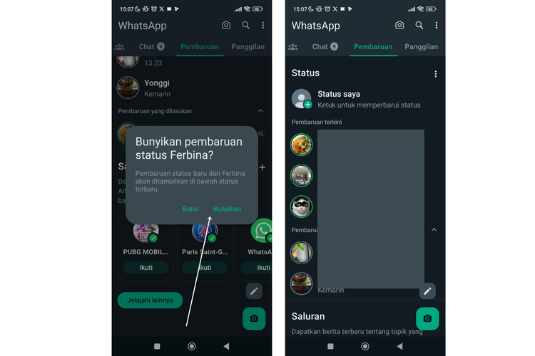 Ilustrasi cara unmute WhatsApp Story